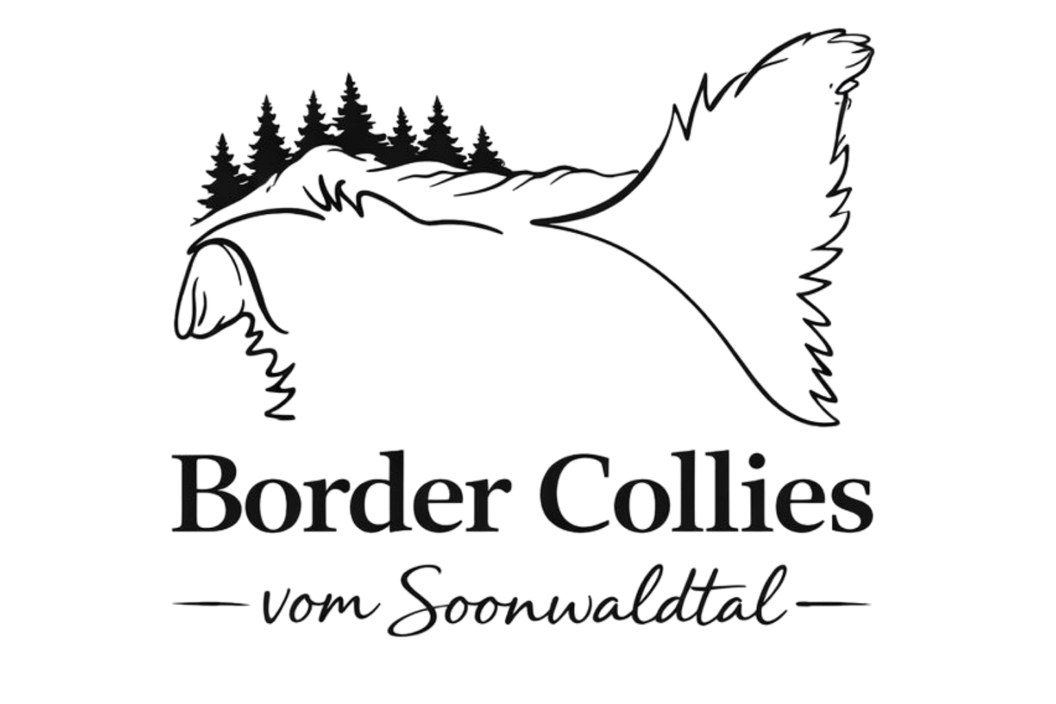 Border Collies vom Soonwaldtal